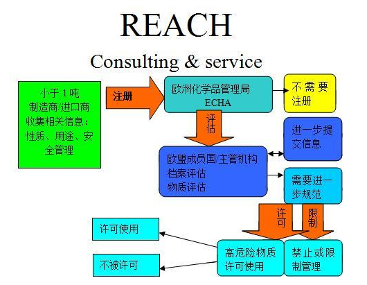 REACH最新标准深度解析与观点阐述