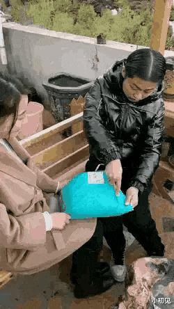 友情与爱的温馨日常，痛并快乐着的新篇章