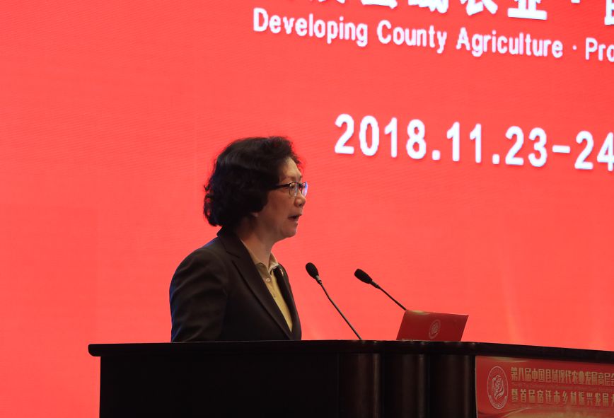王丽霞最新章节获取与阅读指南