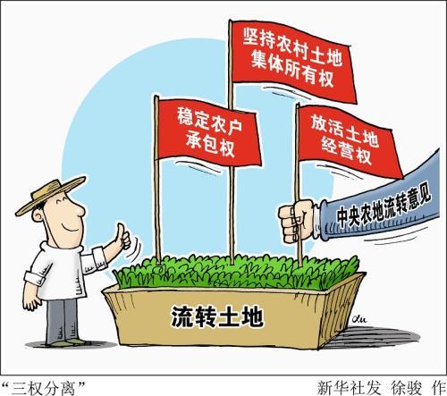 最新土地流转步骤指南及操作详解