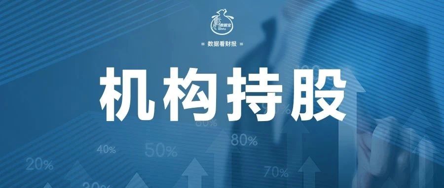 时代浪潮下的金融巨擘，中券资本最新消息全面解读
