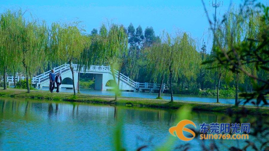 微信最新版下载安装指南，探索小巷美食的秘密