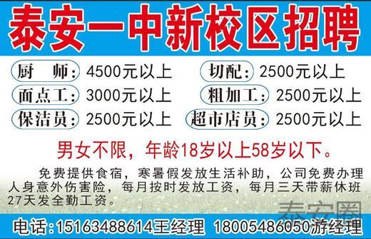 泰安市最新工作招聘，与自然亲近，寻找内心平和的职场之旅