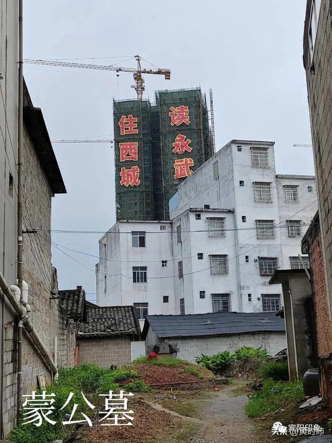 宾阳芦圩最新招聘信息,宾阳芦圩，工作、友情与家的温馨故事