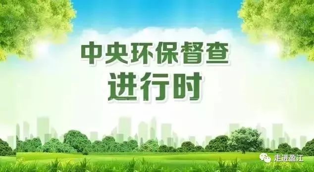 环保监督最新进展概览