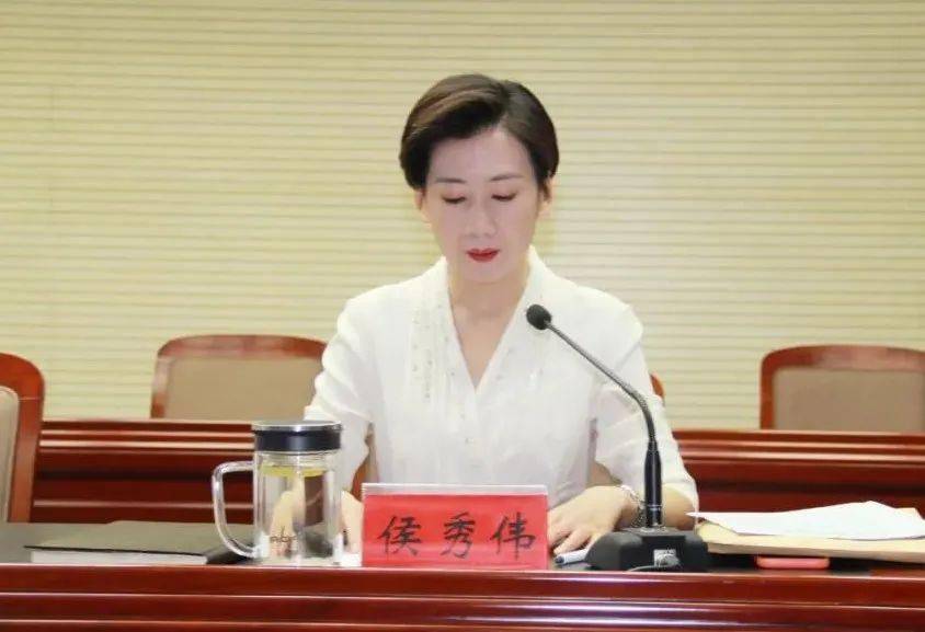 沙河市最新新闻视频，时代脉搏与城市步伐同步前行