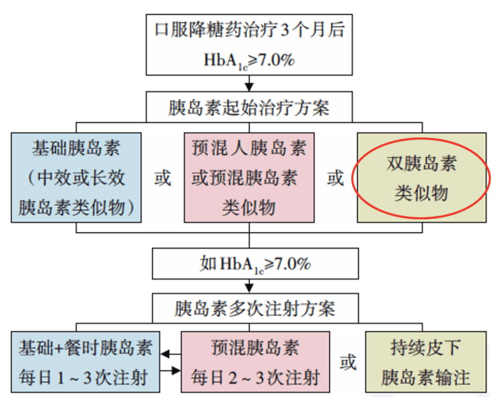 焦锦淼最新消息，多维度观点分析概述
