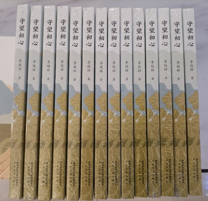 最新农村爱情电视剧，时代浪漫笔触与乡村情怀的交织