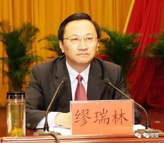 桃城区最新局长调动步骤详解