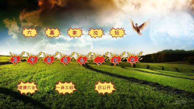 4949澳门特马今晚开奖53期,完善实施计划_持久版51.405
