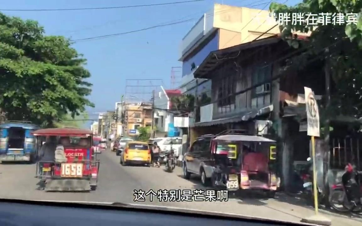 菲律宾最新新闻，小巷深处的独特风味探索之旅