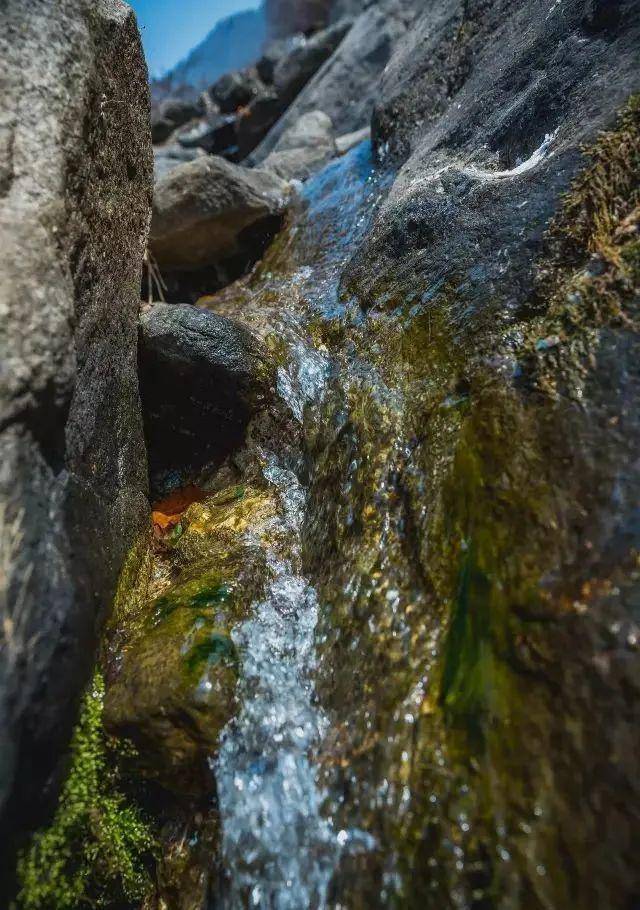 探索自然美景的治愈之旅，第一会所最新动态揭秘