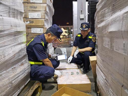 深圳海关最新动态及任务技能完成指南