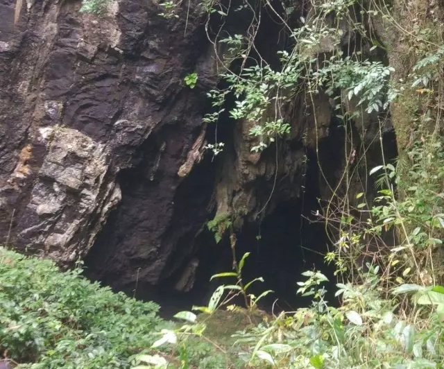白术最新价格及自然美景旅行探索