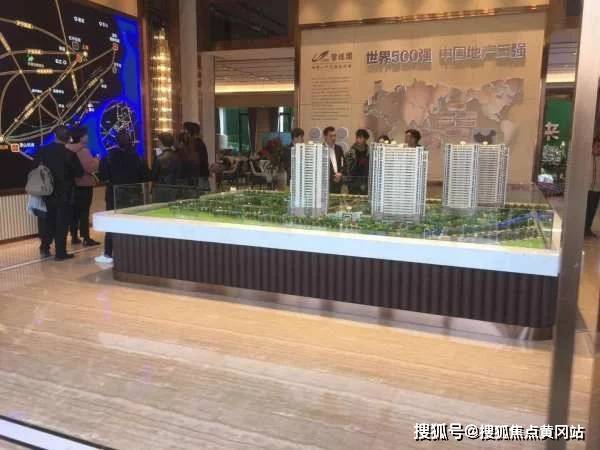 李娜最新动态与个人立场观点深度解析