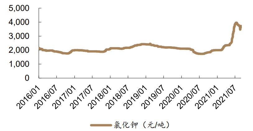 书法艺术中心 第63页