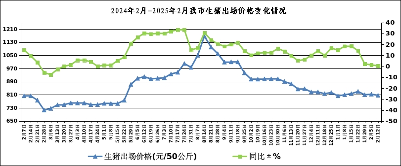 今日生猪价格走势及分析，最新动态与市场洞察