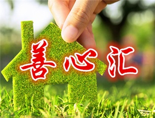 善心汇最新动态更新，最新消息汇总
