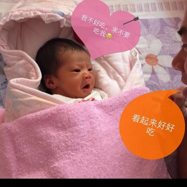 深度探究，最新清宫表的背景、事件与地位