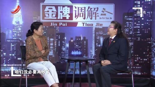 金牌调解最新一期，情感纠葛中的一线生机与和解之力探索和解之道