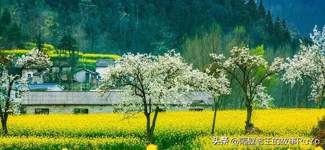 2024年11月份新病毒,数据驱动决策_可靠版16.510