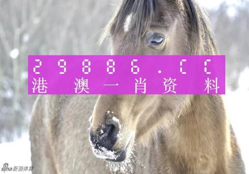 澳门一肖一码100准免费,全面性解释说明_锐意版16.969