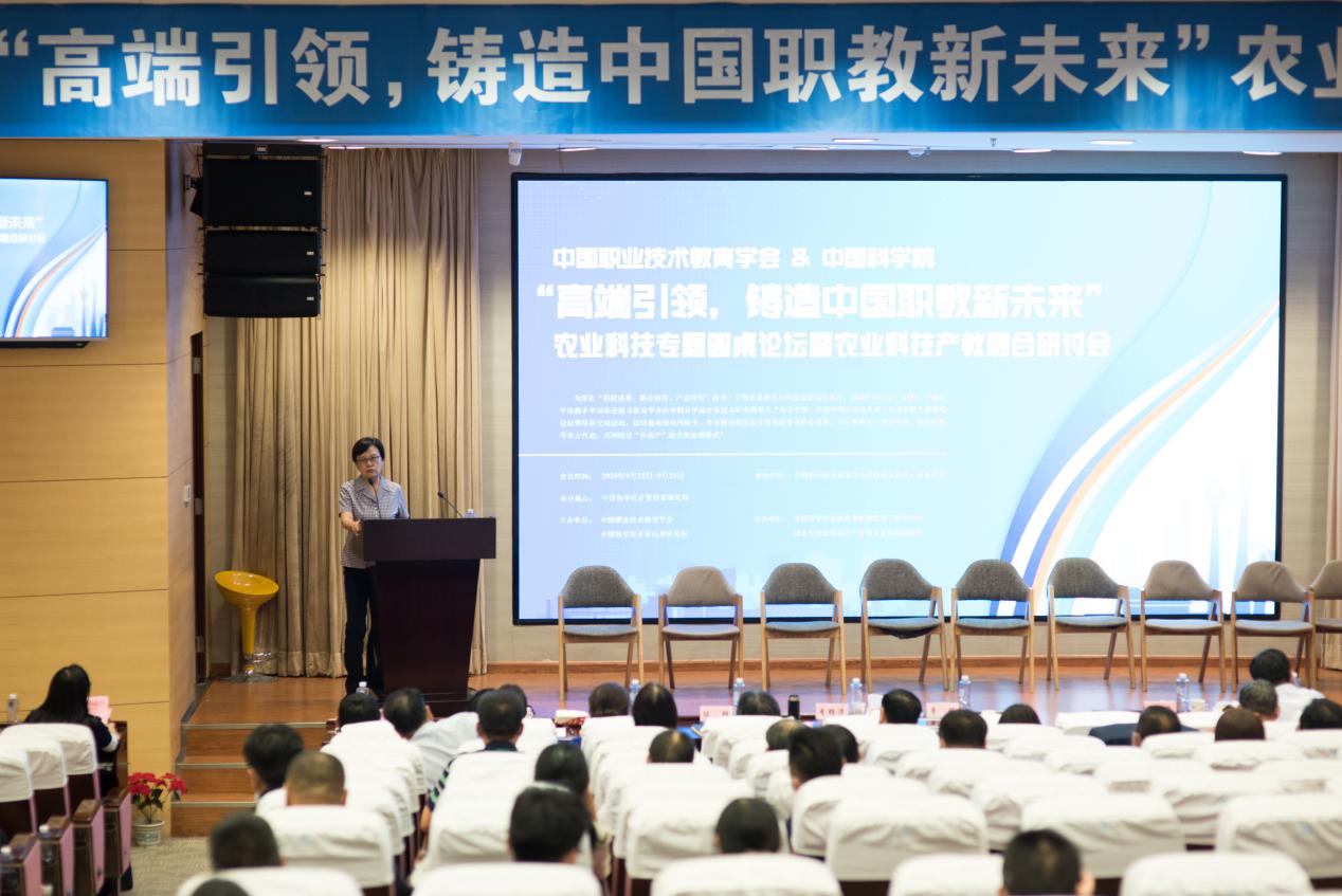 书法艺术中心 第262页