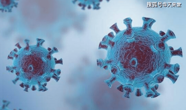 蛋氨酸最新报价,探寻自然美景,寻找内心宁静之旅