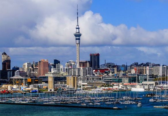 小苏瑞,科技前沿的璀璨新星崛起之路