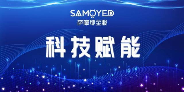 网络黄金最新动态,数字化转型对黄金行业的影响与趋势分析