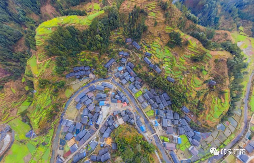 九江公交901路线最新,可靠执行操作方式_网络版23.726