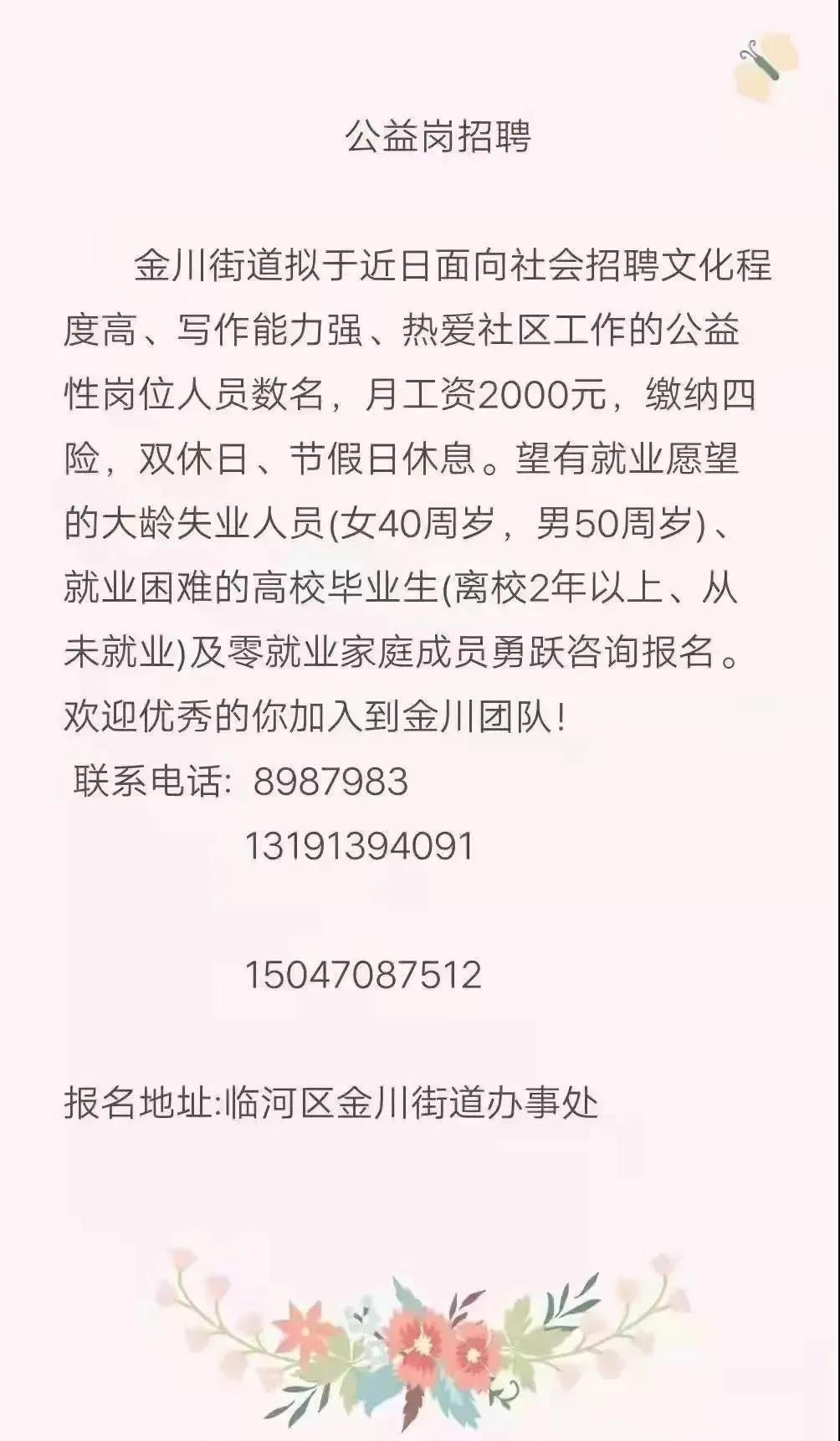 巴彦淖尔临河最新招聘,巴彦淖尔临河最新招聘,深度探讨与观点阐述
